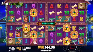 도그하우스 슬롯 귀엽고 스릴 넘치는 슬롯 게임