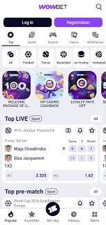 Wowbet на деньги Как зарабатывать и играть с умом Wowbet на деньги Как зарабатывать и играть с умом